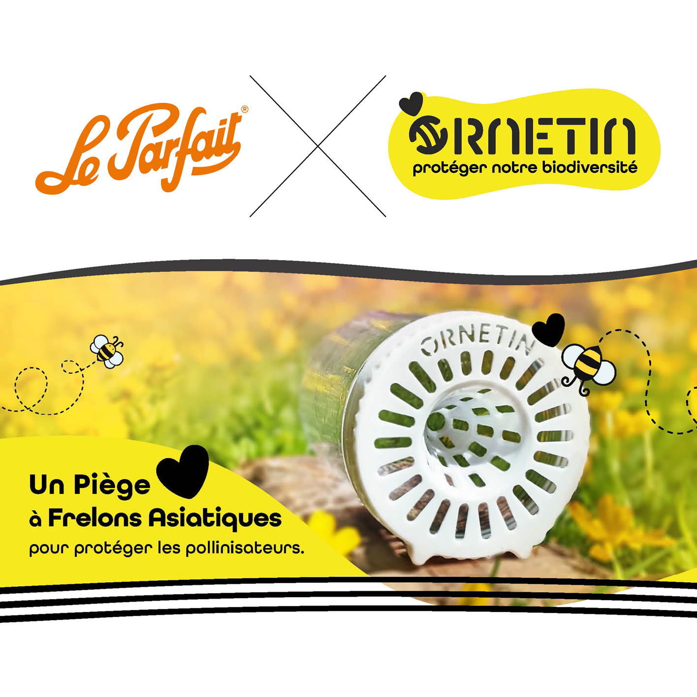 Early Spring Trapping: Your Role in Controlling Asian Hornets